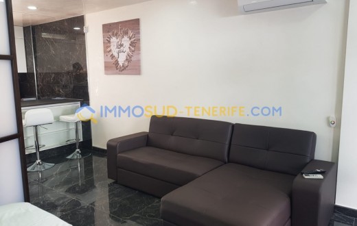 1783V - Playa Las Americas