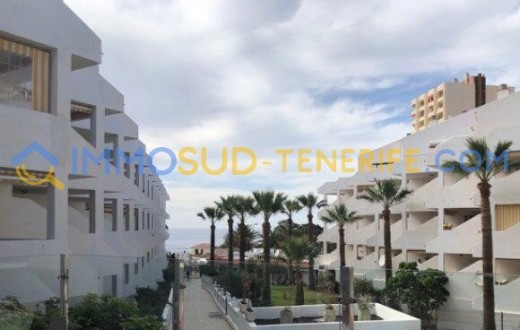 3067KV - Los Cristianos