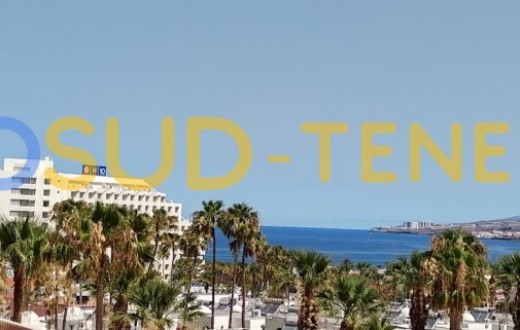 3080KV - Playa Las Americas