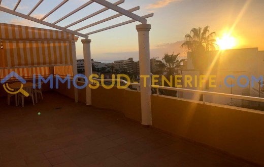 3131KV - Playa Las Americas