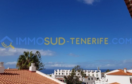 3163KV - COSTA ADEJE