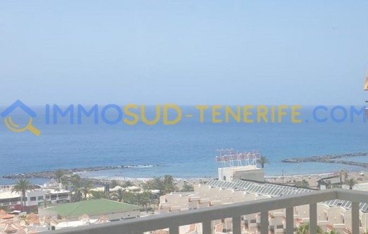 3161KV - Playa Las Americas