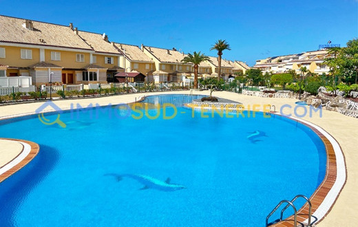 404-2984KVO - PLAYA DE LAS AMERICAS