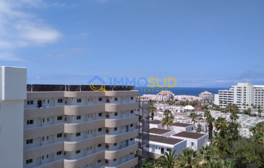 407-3035KVO - LAS AMERICAS