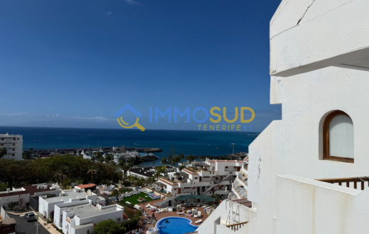 503-3193KVO - COSTA ADEJE