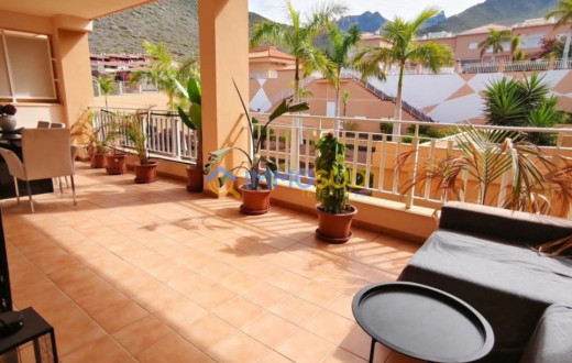 510-3344 - MADROÑAL