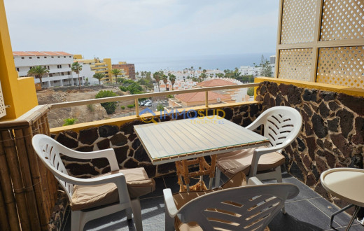 411-3154VO - COSTA ADEJE