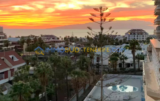 501-3174KDFVO - LAS AMERICAS