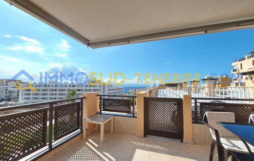 3481V - Puerto Santiago