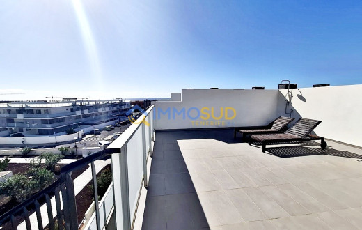 510-3336 - LA TEJITA